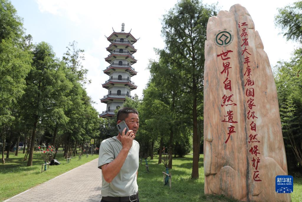 负盈利打法